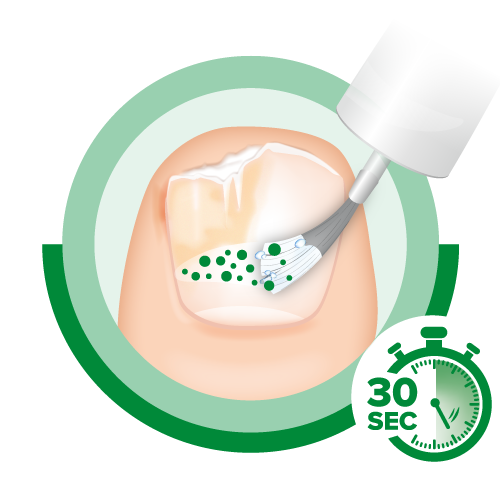 Ciclopoli Icon Anwendung