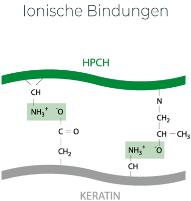 Ionische Bindungen keratin